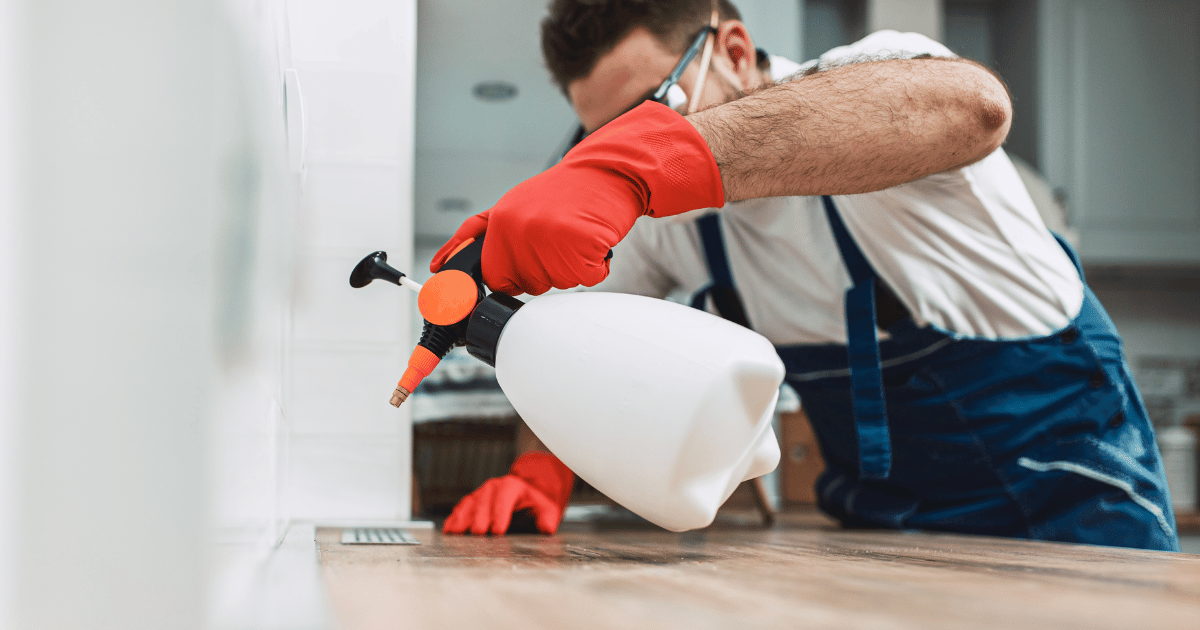 Keeping Your Home Pest-Free: Pest Control Services in Mesquite, TX